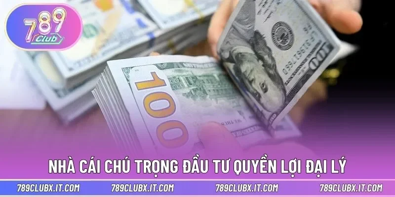 Nhà cái chú trọng đầu tư quyền lợi đại lý