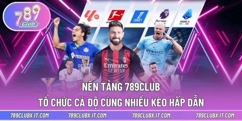 Nền tảng 789club tổ chức cá độ cùng nhiều kèo hấp dẫn